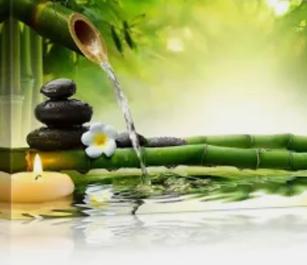 Bamboo contact illustration